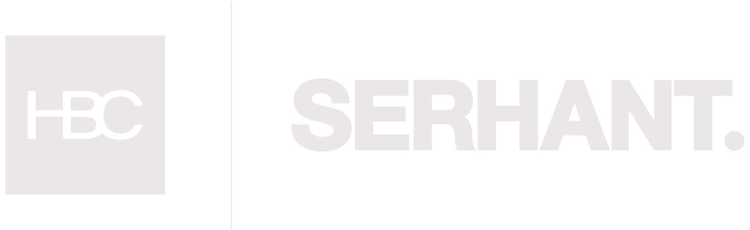 HBC Group Logo_Horizontal-Lockup-Pebble Grey (6)